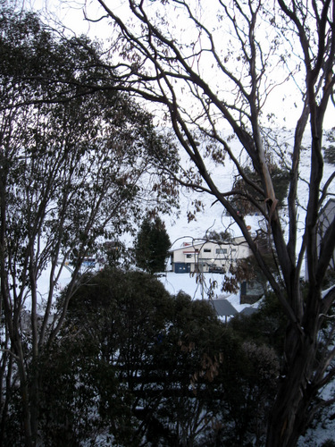 View from AAC looking towards Village Bowl and Summit runs