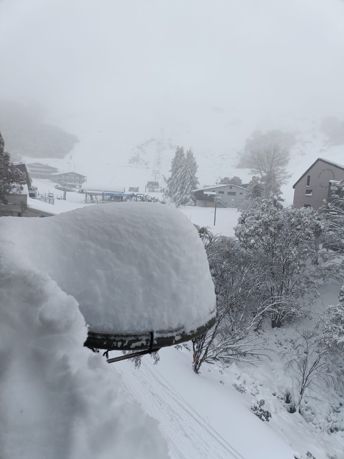 2025 AAC FC bird feeder snow dump Opening Wkend 8 June