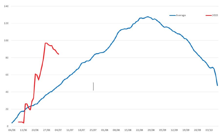 snowfall graph